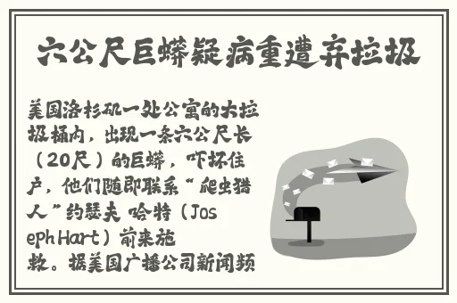快**我是你母亲最火的一句